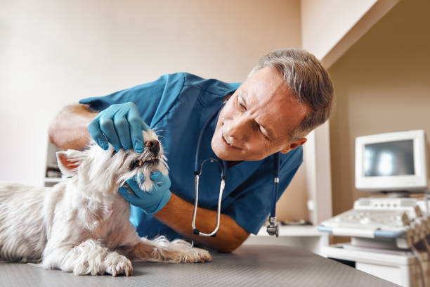 Best Emergency Treatment for Dental Infections or Abscesses in Bunkie, LA